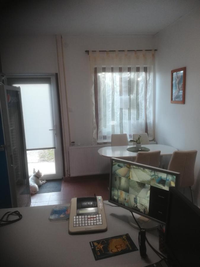 Fekete Macska Panzio Hotel Тата Екстериор снимка